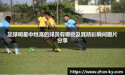 足球明星中姓高的球员有哪些及其精彩瞬间图片分享
